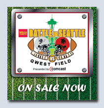 Battle In Seattle Flash Animation